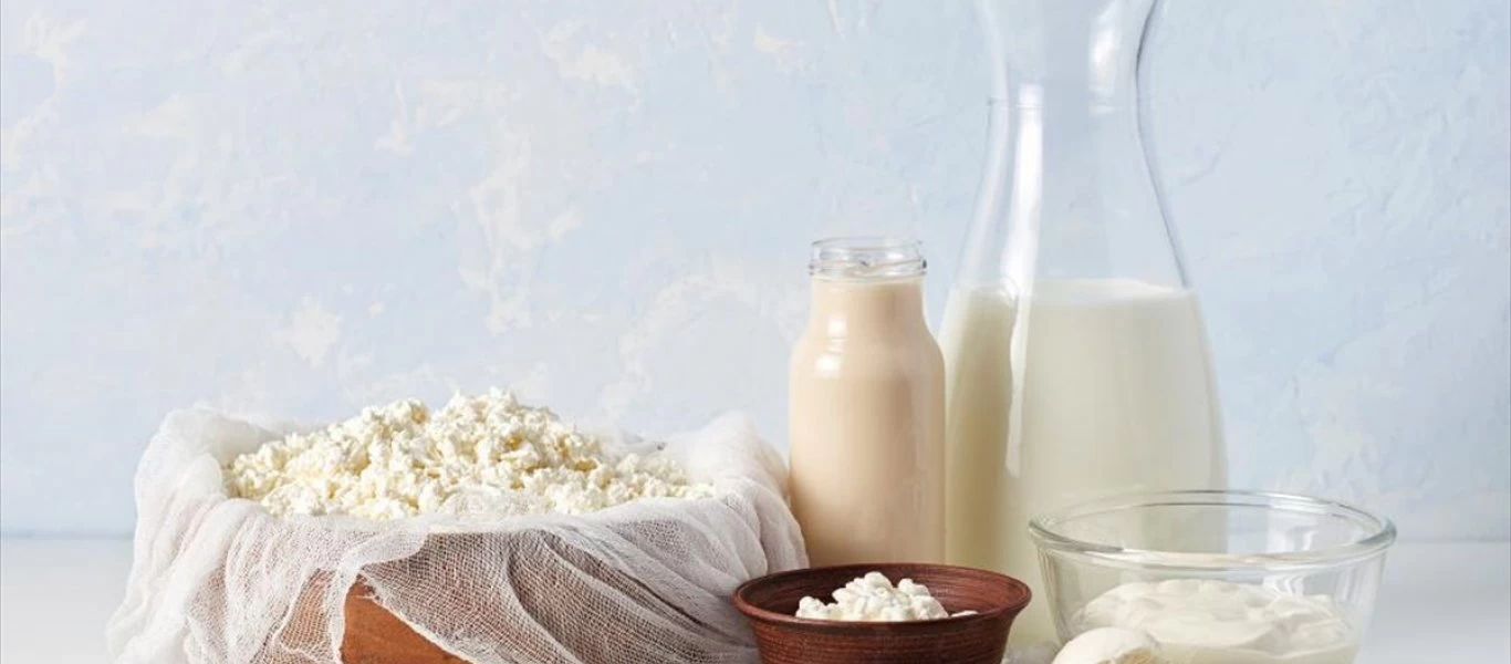 Γιατί πρέπει να προτιμούμε τα πλήρη γαλακτοκομικά προϊόντα;